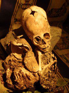Beyond Paracas - Humanoid Remains - Cusco Peru 1