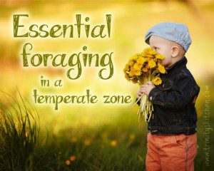 Essential_guide_foraging