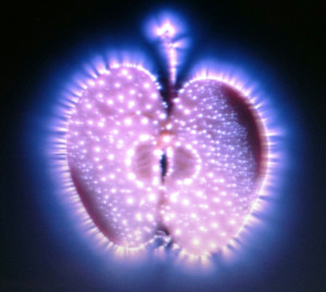 apple aura
