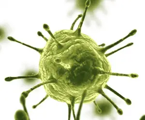 genetically engineered hiv vaccine increased risk of hiv infection