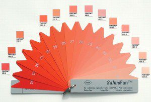 salmofan