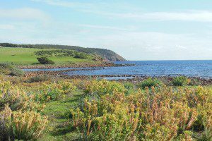 Karta - Kangaroo Island