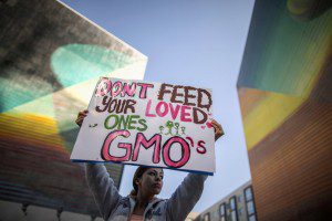 gmo-2