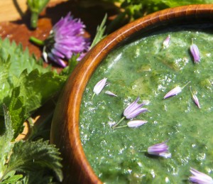 Trinity's 'Very Nettle' Wild Vegan Soup