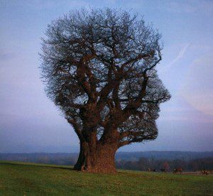 Change Your Thoughts, Change Your Brain