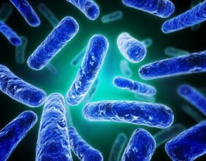 Probiotics Destroy Toxic Chemicals In Our Gut For Us