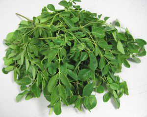 10 Amazing Superfoods - Harnessing Nature's Healing Potential - Moringa Oleifera
