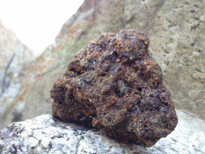 10 Amazing Superfoods - Harnessing Nature's Healing Potential - Shilajit