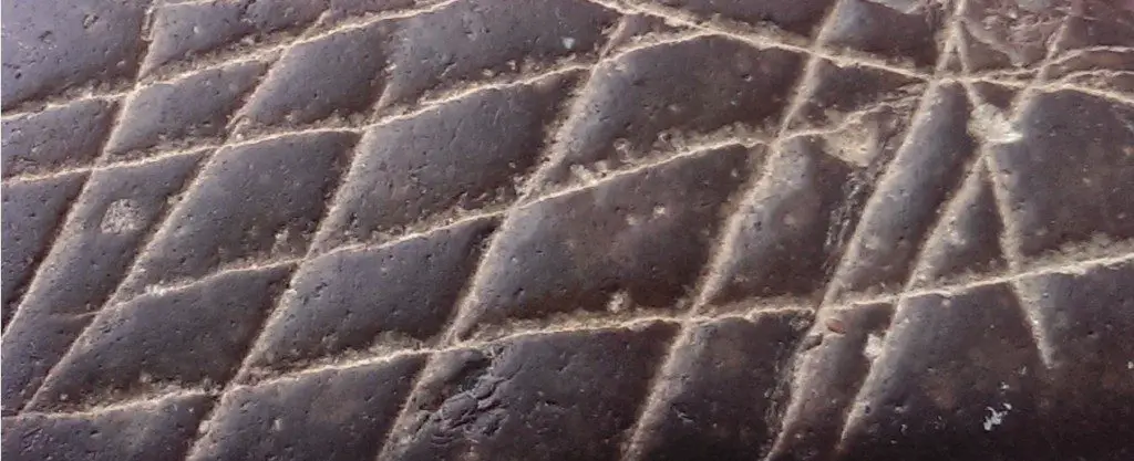 An Original Engraving Made by Ancient Advanced Technology?