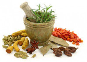 Ayurvedic Medicinal Plants