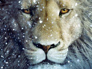 Courage is Not the Absence of Fear But the Strength to Conquer It - The New Moon In Leo