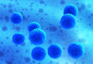 Natural Cures for ALS