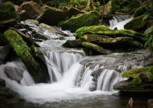 The Great Realignment (Part 1) the New Paradigm