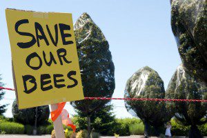 Why Monsanto's 'Cure' for World Hunger is Cursing the Global Food Supply