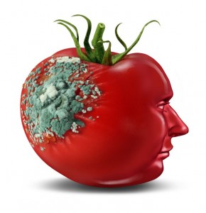 brain_damage_roundup