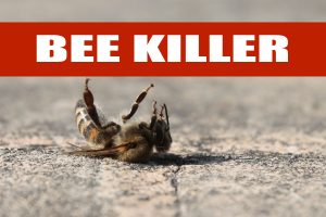 monsanto_bee_killer