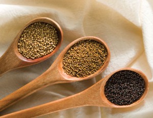 mustard seeds