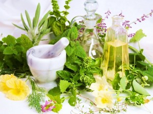17 of The Most Underrated Medicinal Plants In The World
