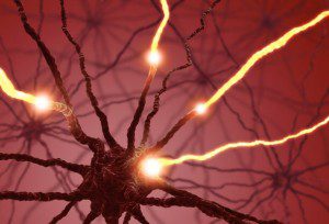 Enhancing Neurotransmitter Production Naturally