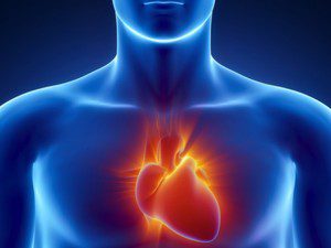 Why Cholesterol Doesn’t Cause Heart Disease