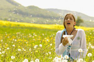 Top 5 Natural Antihistamines