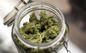 Cannabis Dissolves Cancerous Tumor in Young Infant