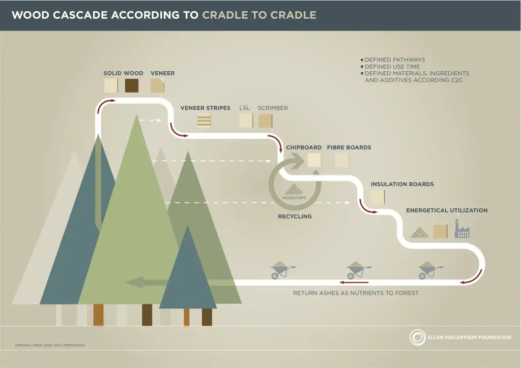 Cradle to Cradle Design - How a Biochemist and an Architect Are Changing the World 2