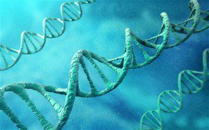 Diary Of A DNA Potentiator - Hack-tivation Story
