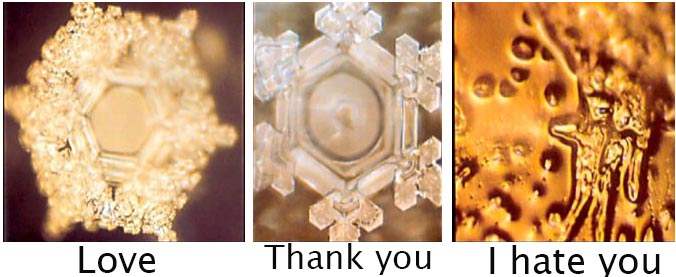 Emoto