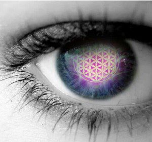 Finding Your Sacred Purpose