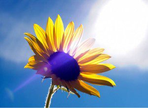 Activate Your DNA with Solar Frequencies - Copy