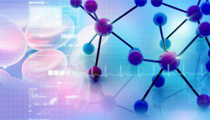 Endocrine Disruptors