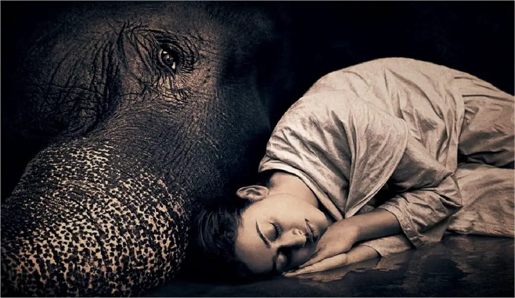 The Wise Woman Within - Image by Gregory Colbert