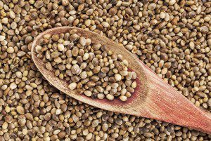 Why Everyone Should be Eating More Hempseed