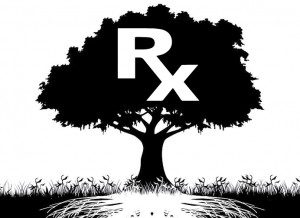 tree_aspirin_grows