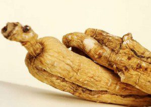 Constantly Tired - 12 Herbs to Increase Energy and Vitality - Panax (Asian) Ginseng