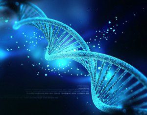 How Our Thoughts Control Our DNA