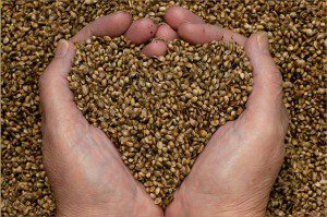 Sowing the Seeds of Love