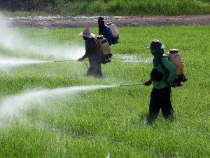 Study Links Pesticides to High Depression Rates