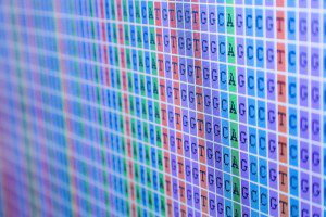 DNA Bases Alignment