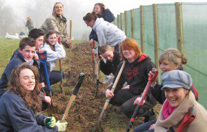 Times Are Transition - Kinsale Green Team