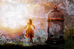 fear to freedom
