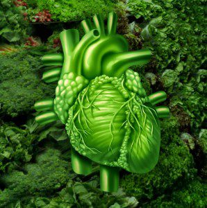 folate-heart