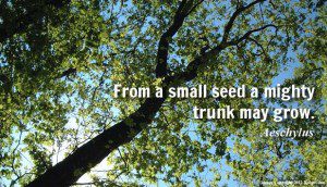 Creating Your Future - Arise Great Warrior, Arise - Small Seed, Mighty Trunk