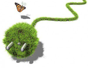 Green Energy - Coal vs. Wind, Water and Solar