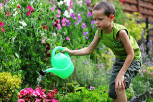 Heart-Centered Learning for a Happy, Healthy Child 2