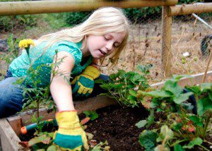 Heart-Centered Learning for a Happy, Healthy Child 3