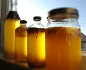 How to Make Kombucha