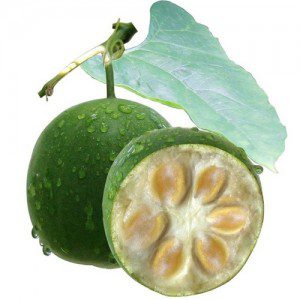 Luo Han Guo - Monk Fruit