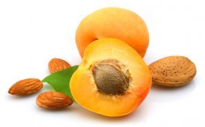 apricot seed